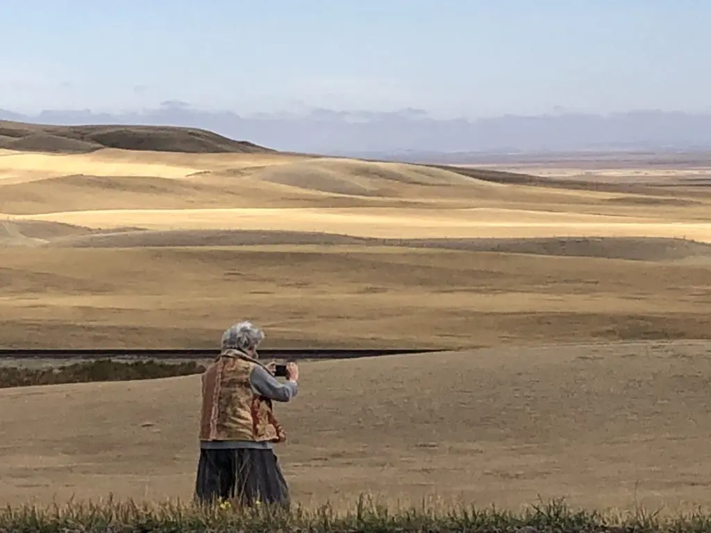 The author photographing endless golden fields on Montana's Hi-Line.