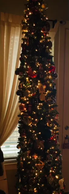 The Kenney family's tree