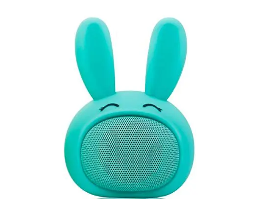 This bunny speaker is all ears. 