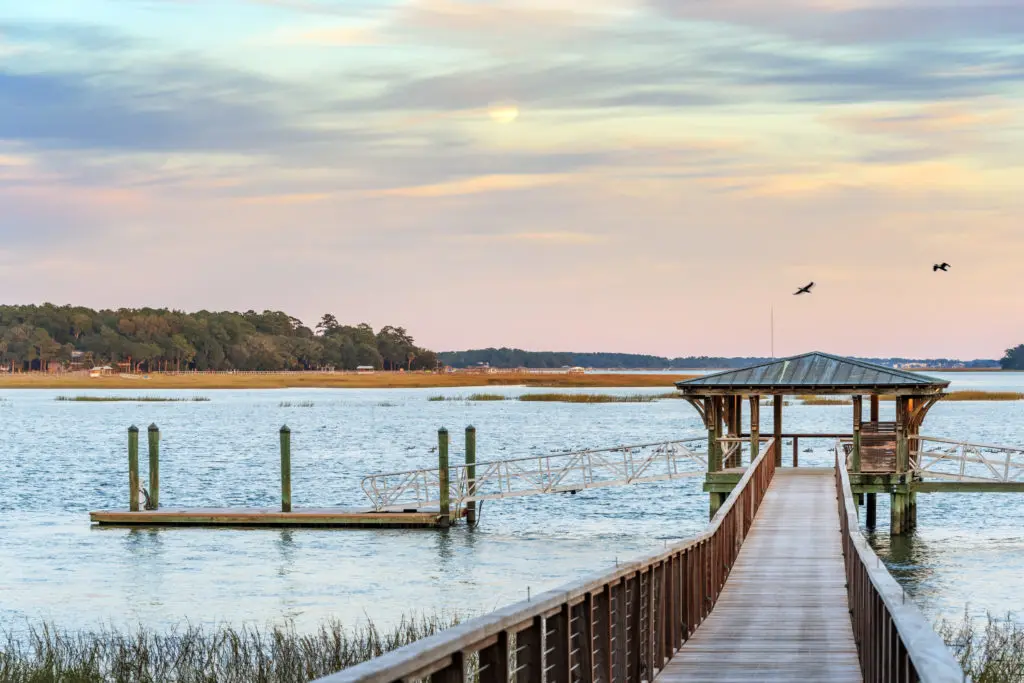 The Palmetto Bluff Conservancy ensure the land and its wildlife are  preserved with the utmost care.