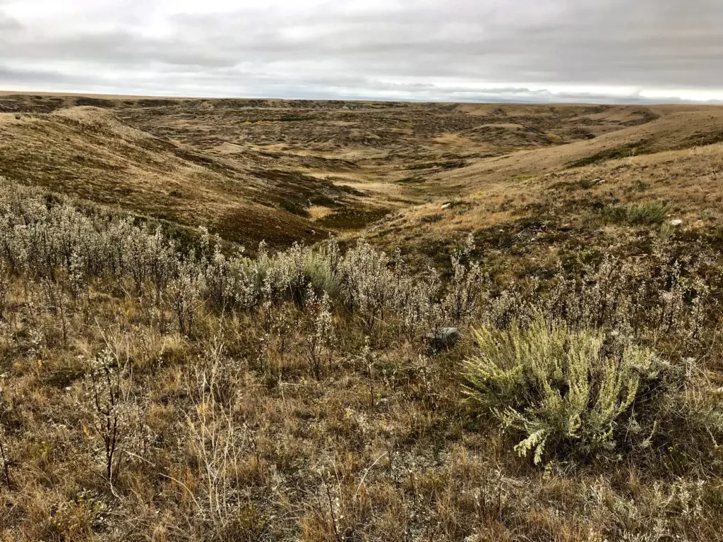 Grasslands National Park
