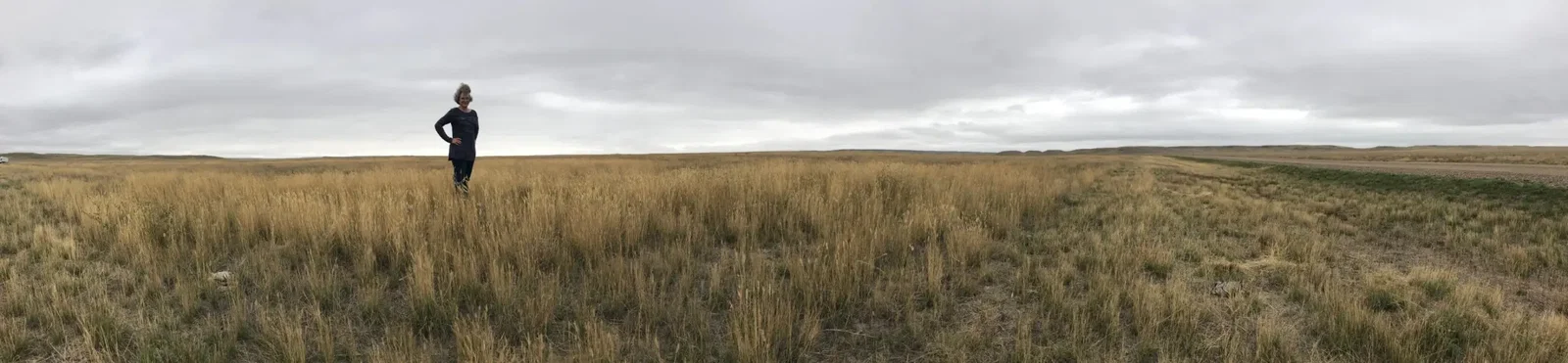 The author's sister Kate Maher stands amidst the native grasslands.