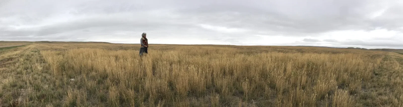 The author contemplates an endless expanse of native prairie grasslands.