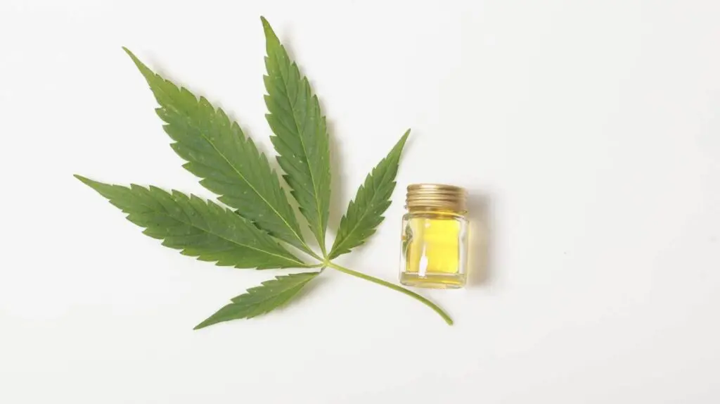 New EaDo Coffee Shop Reaches Higher With CBD Oil Infused Drinks