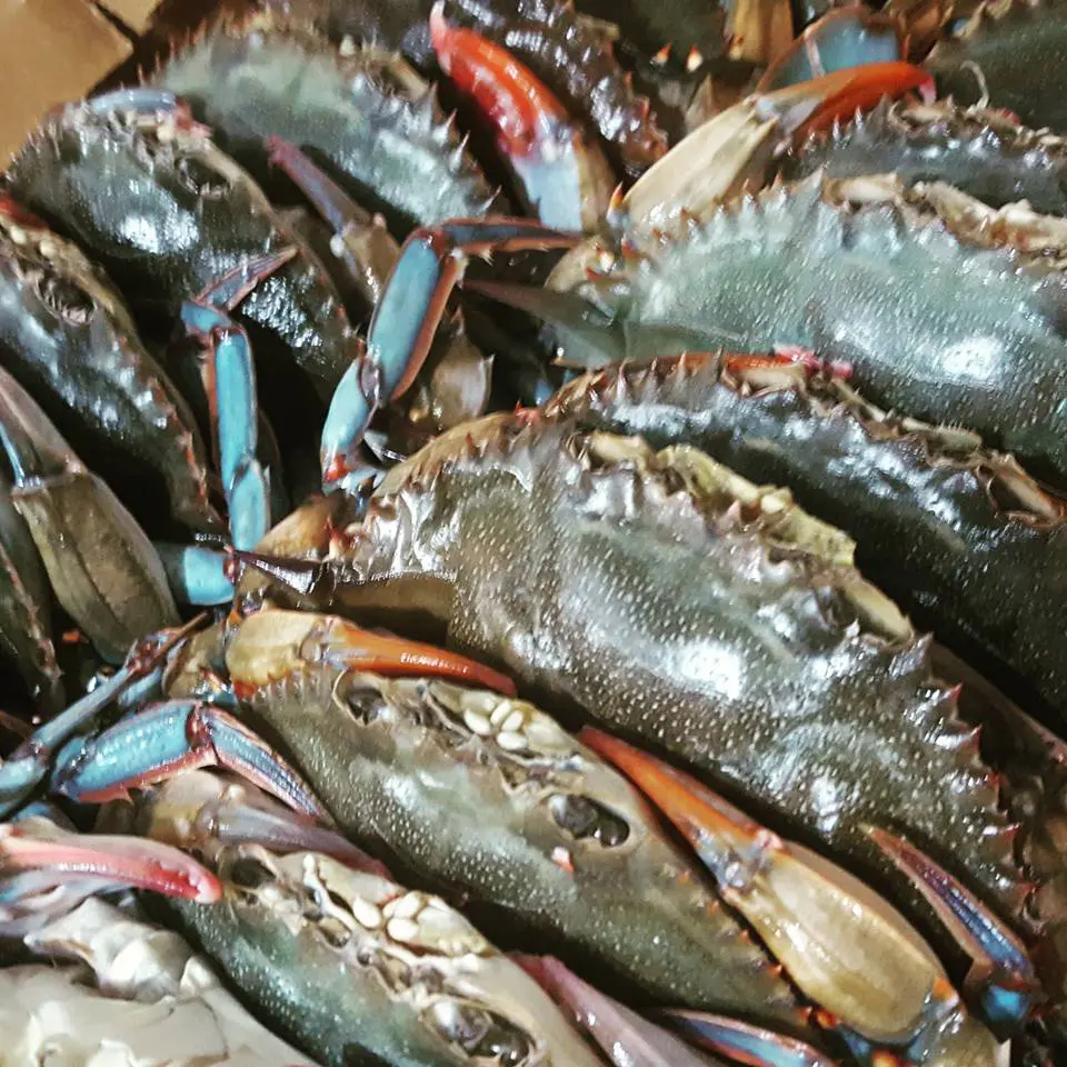 Expect stone crab, clams, oysters and more at Airline Seafood.
