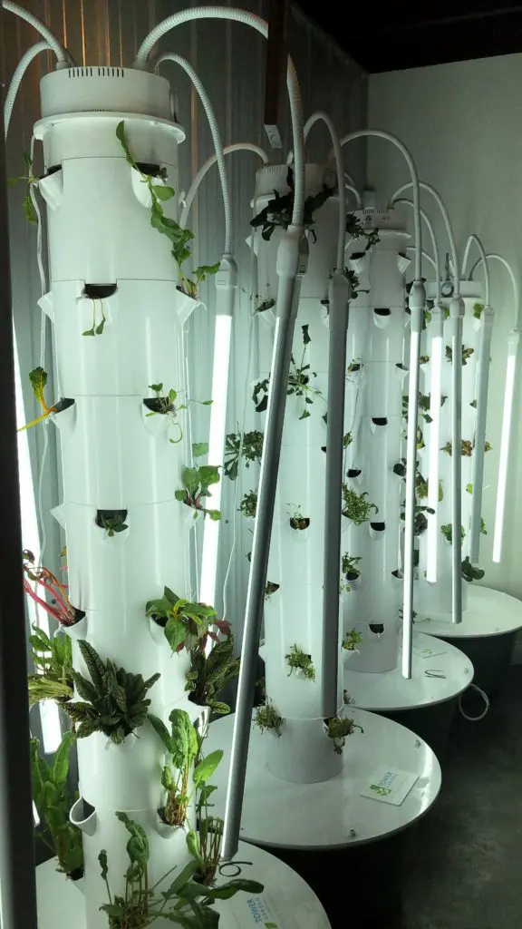 A state-of-the-art aeroponic greenhouse awaits at Manchin's in Charleston.