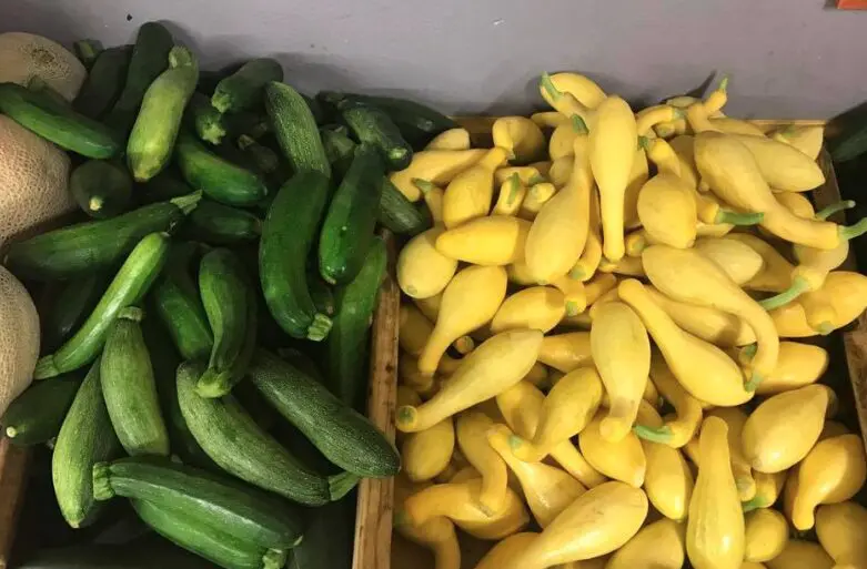 Atkinson Farms harvests produce today that restaurants serve tomorrow. 