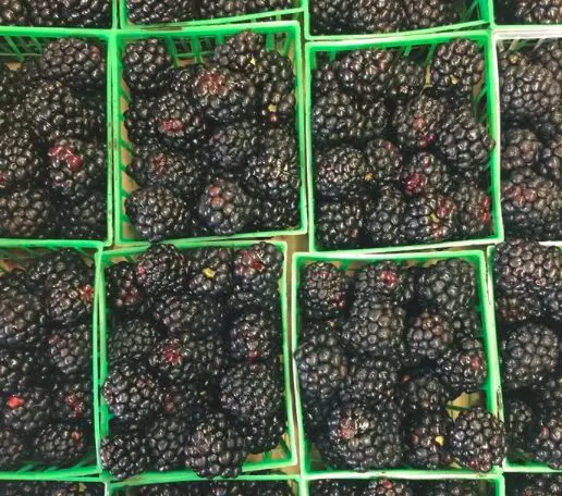 Mike Atkinson doesn't sell any produce he wouldn't eat himself. 
