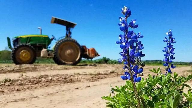 You'll find Atkinson Farms' fresh produce at UB Preserv, One Fifth, Coltivare, Indianola and more. 