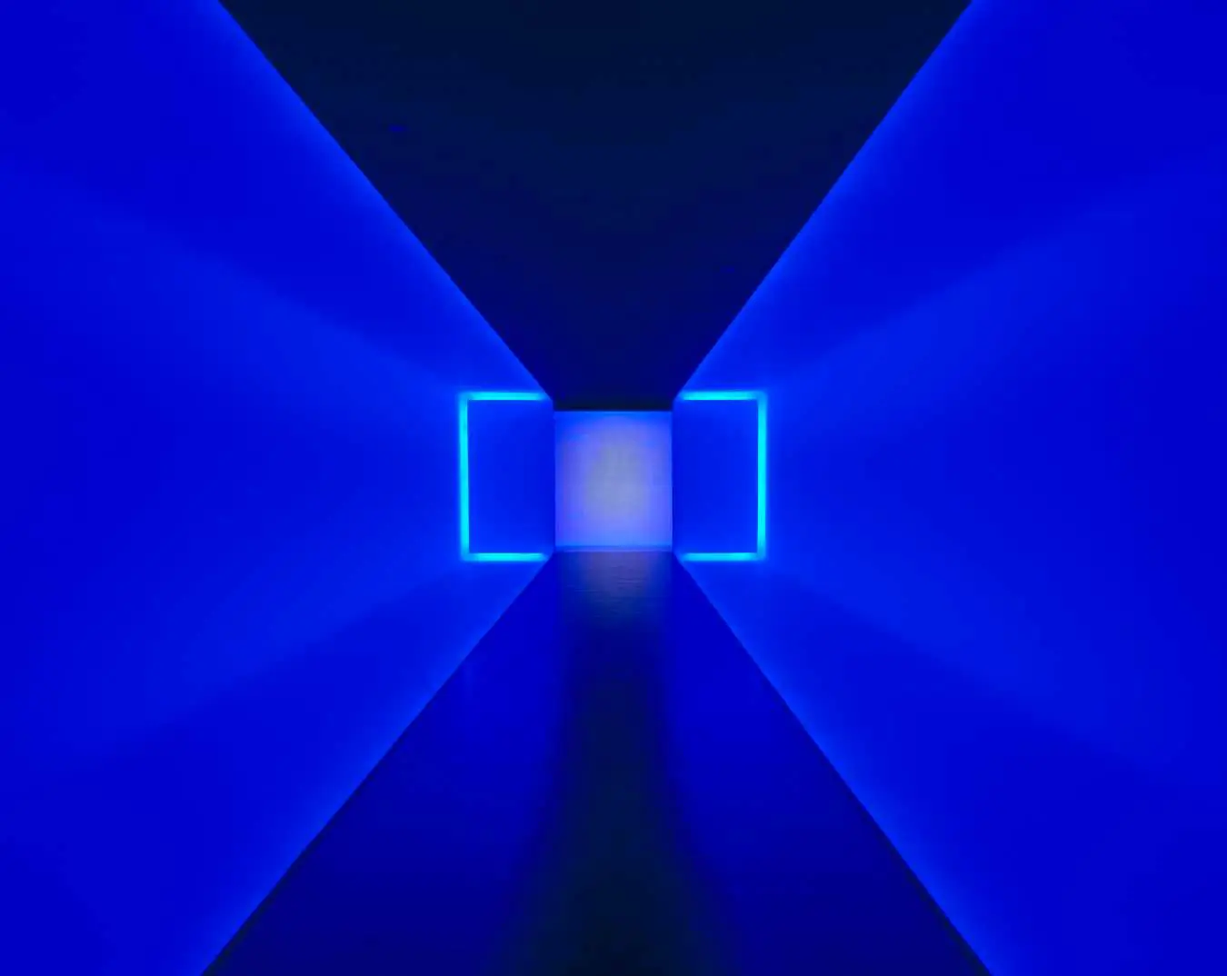 museum of fine arts houston