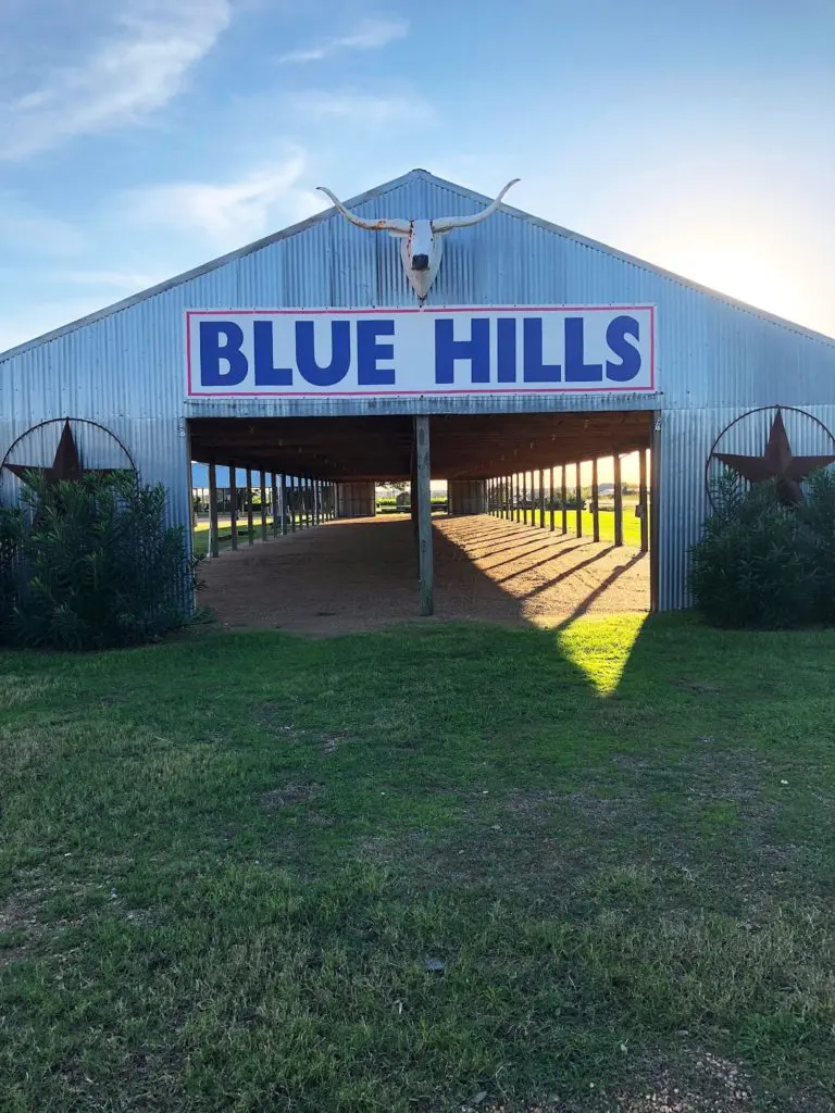 Brother-sister duo Corey Layne and Stephanie Layne Disney started the family business of their dreams with the recent purchase of Blue Hills, the much-loved Round Top antiques venue.