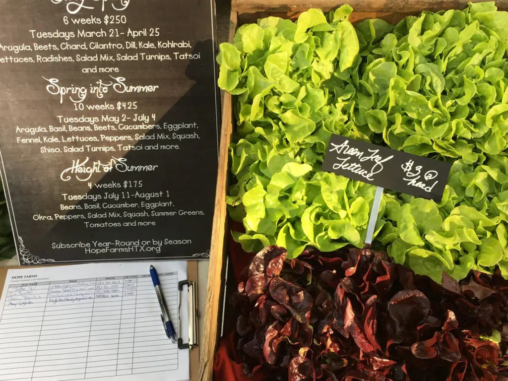 Find fresh, organic fruits and vegetables from Hope Farms at Taste of the District.