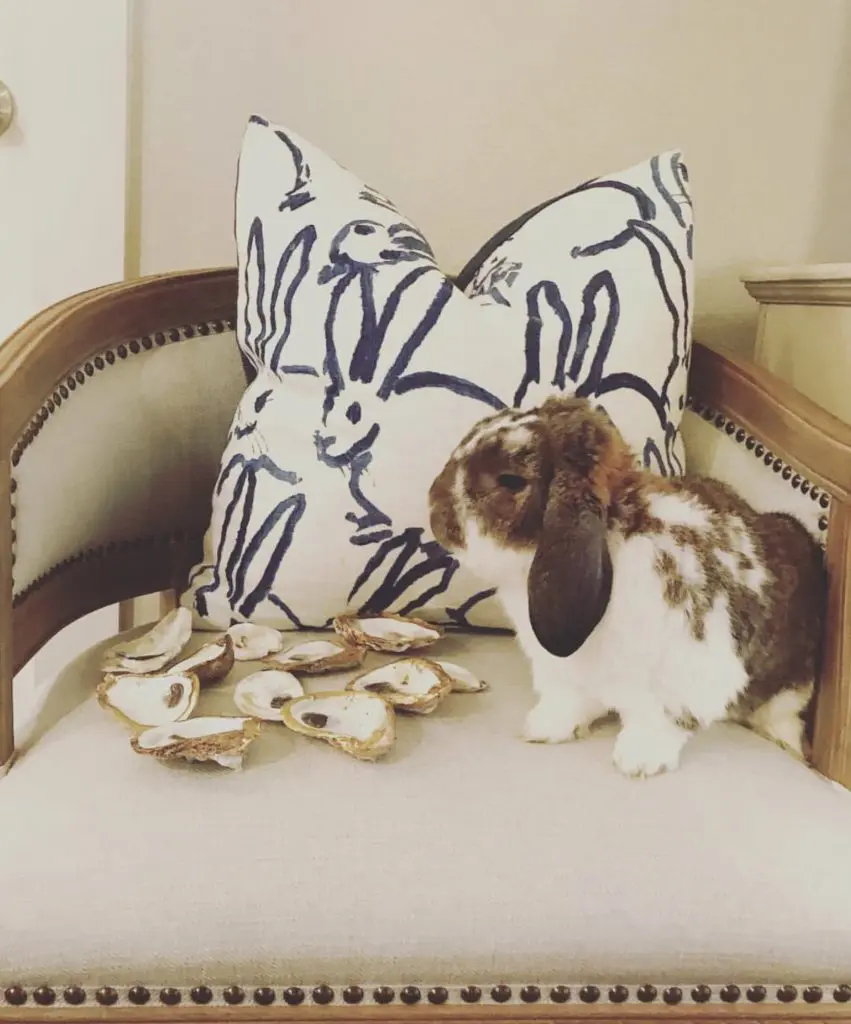 A Hunt Slonem-upholstered pillow and Houston-based Wrigley the Rabbit (owned by PaperCity's Farrell Lawo) star in this vignette. (Courtesy Hops & Bun Co.) 