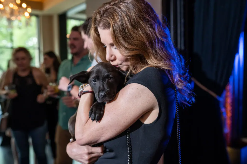 K9 Angels adoptable puppy Binder gets a hug at the Club PetSet Young Professionals party. (Photo by Kathlyn Dragna Photography)
