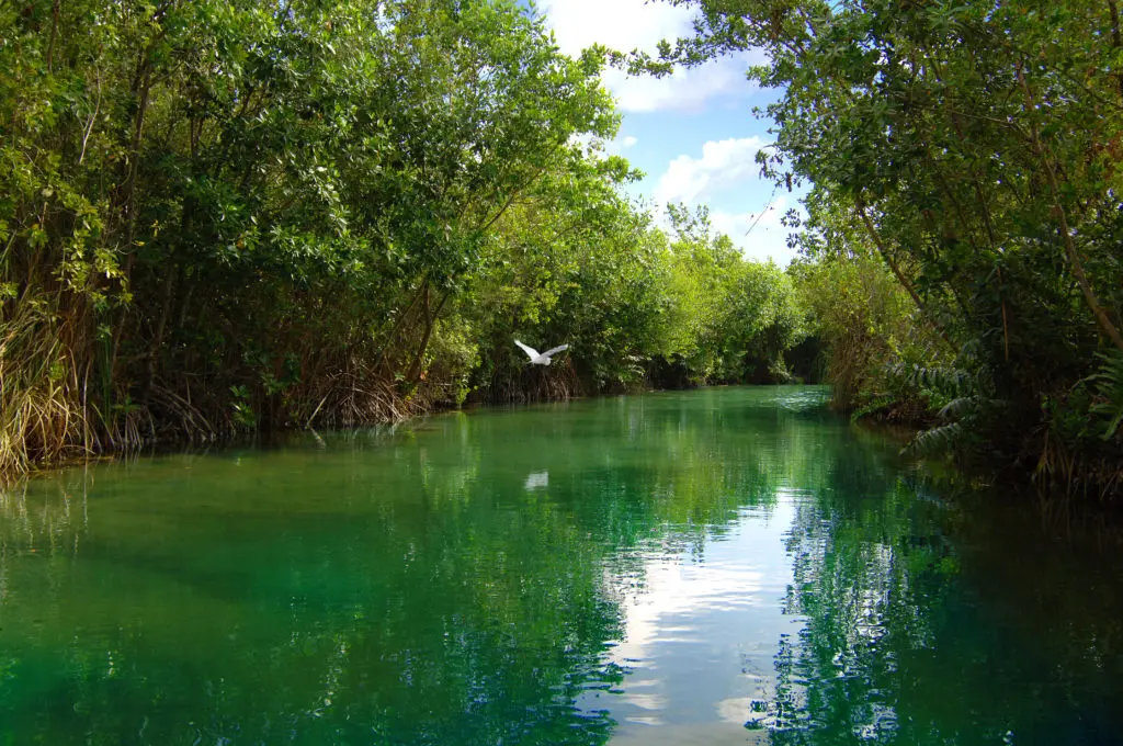The canals and lagoons of Mayakoba are home to beautiful indigenous wildlife. (Photo Courtesy of Mayakoba) 