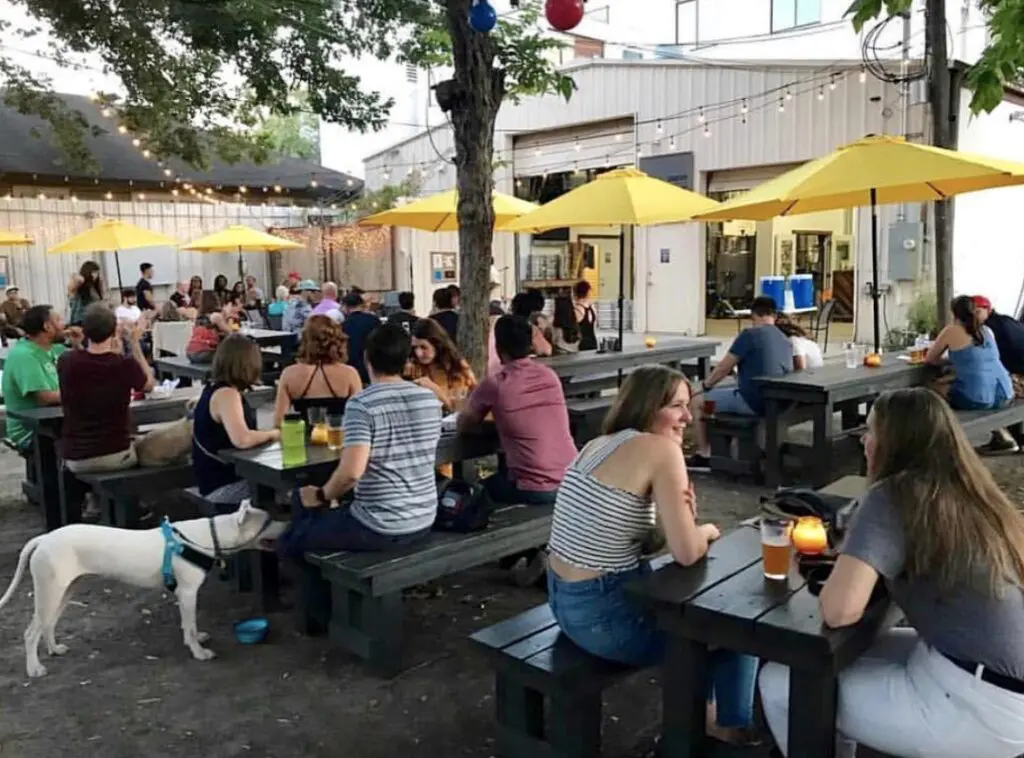 Under the Radar has fabulous themed trivia nights. 