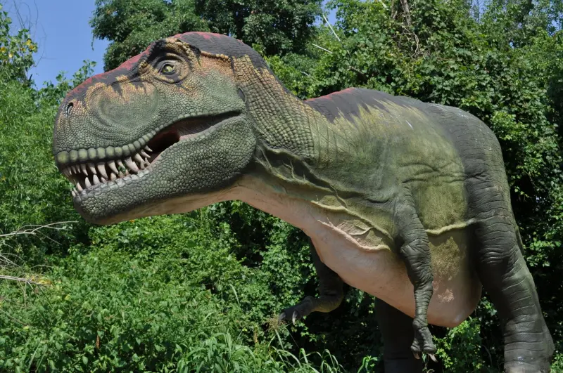 Dinos at Zoo