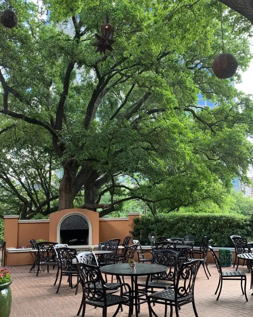 You can't beat the canopy of Live Oaks swaying over the terrace at Rosewood Mansion on Turtle Creek. 