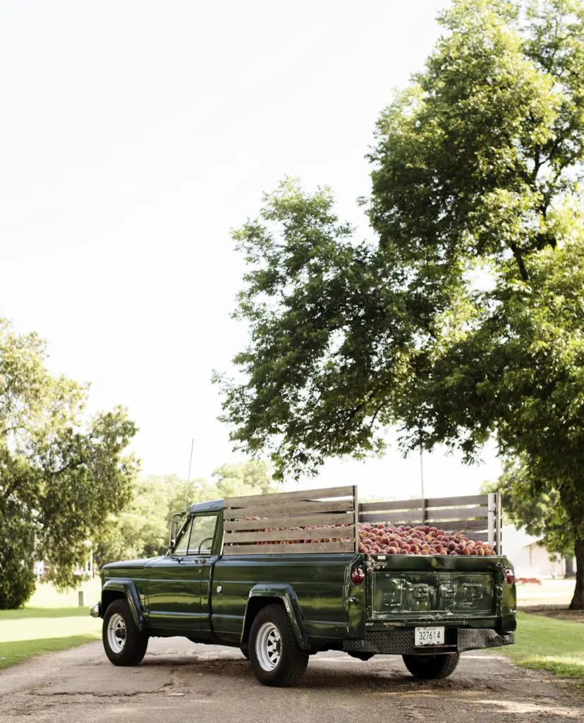 Catch the Peach Truck at 12 locations this weekend. (Photo by Eliesa Johnson)