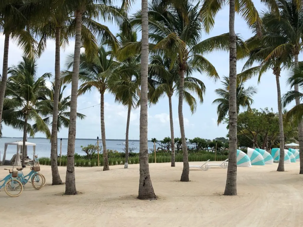 Palm trees offer shade along the white sand beaches. (Photo by Shelby Hodge)