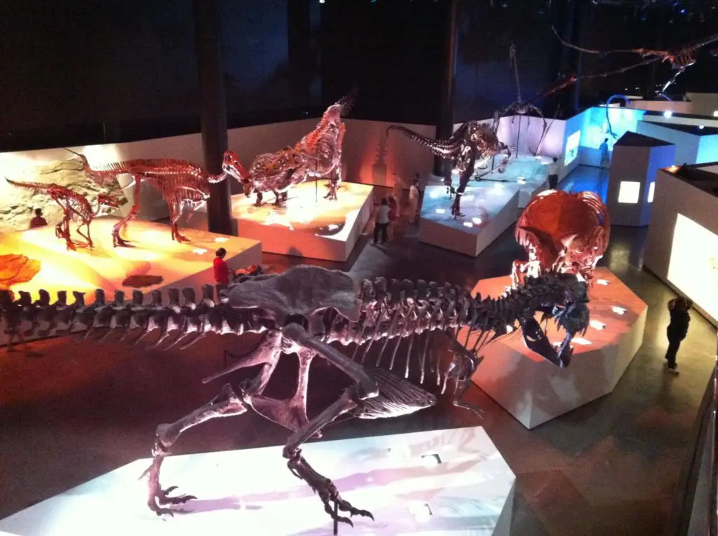 Take a free trip to the HMNS thanks to CityPASS. 