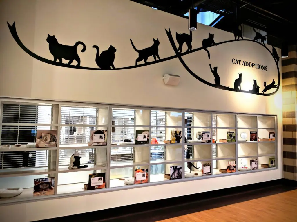 There's plenty of room for the kitties. 