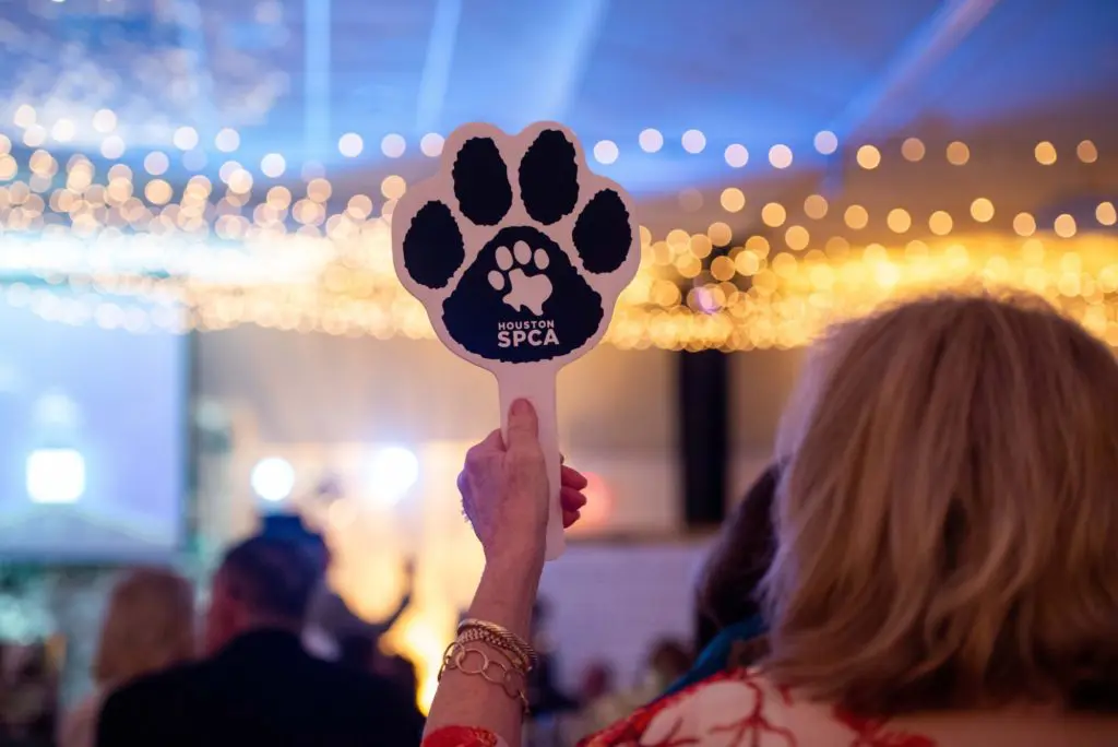 Houston SPCA’s New Campus Helps All Animals — and Plenty of People, Too