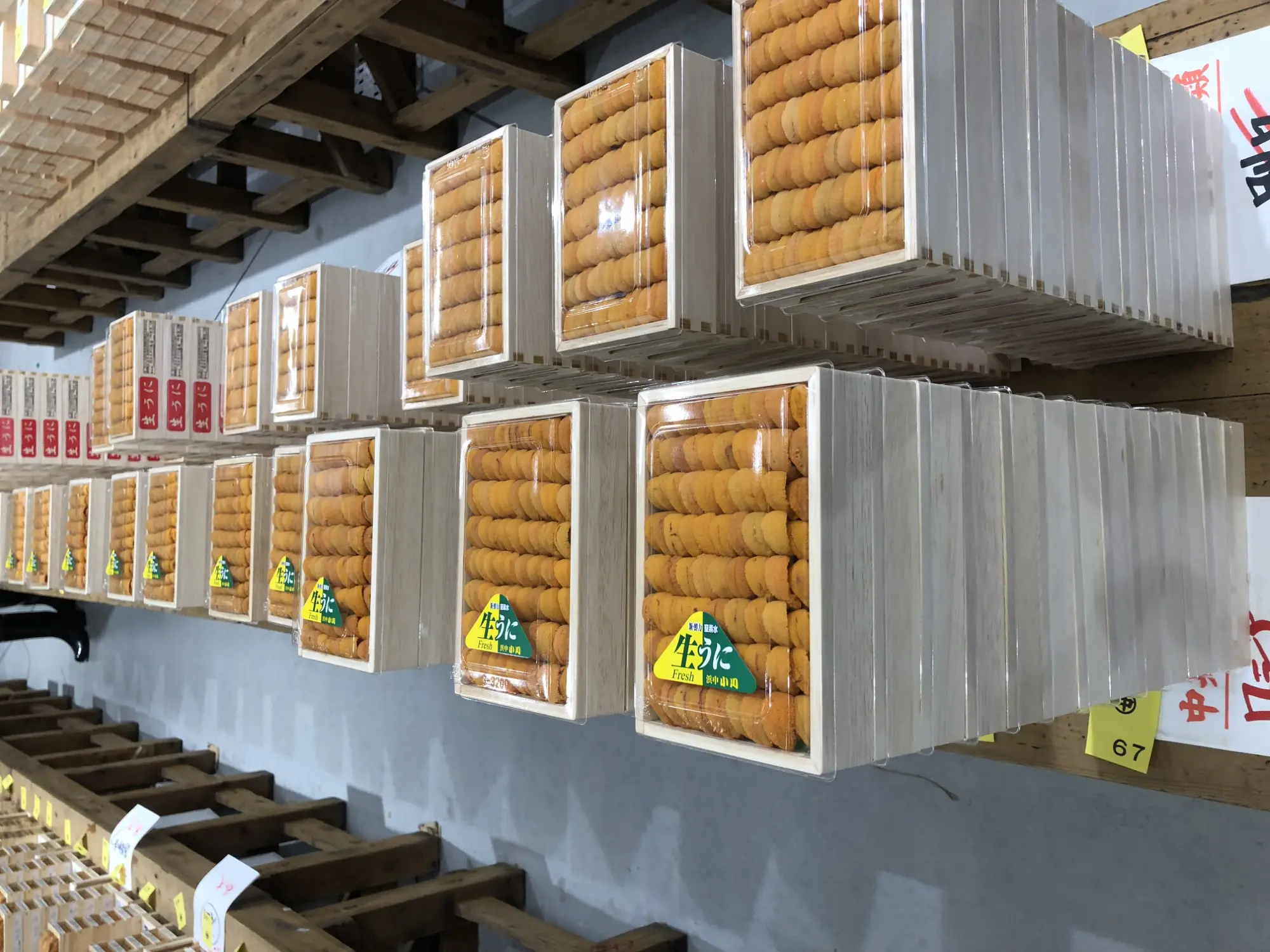 Tokyo’s jaw-dropping new fish market can impress even a world class sushi chef.