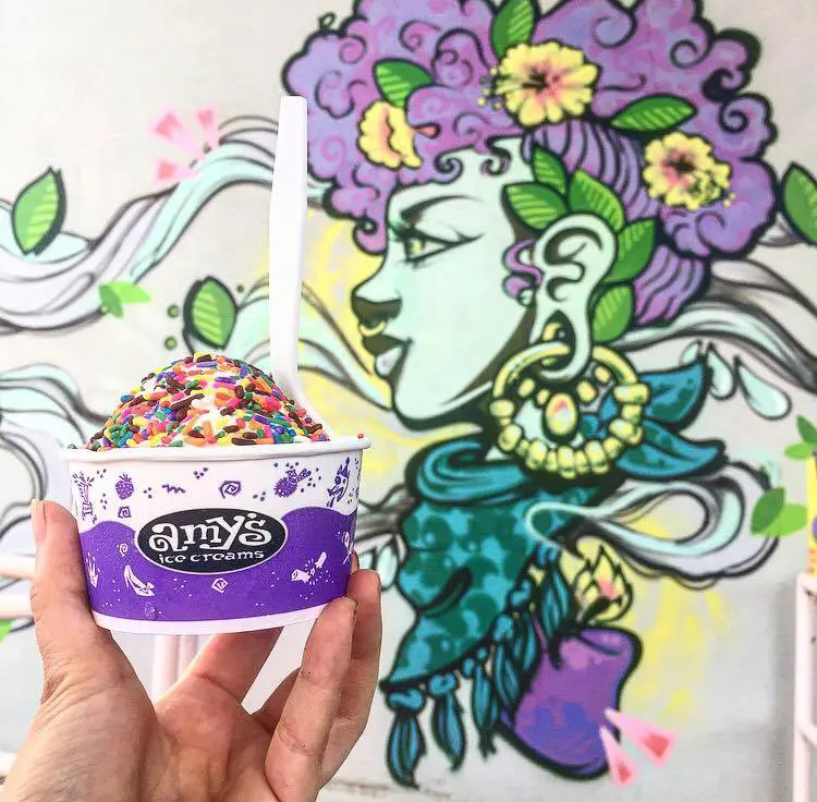 Amy’s Ice Creams