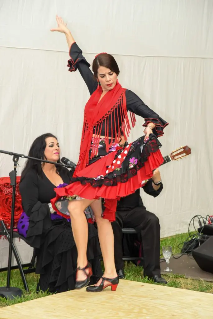A flamenco dancer entertains at the Heart Ball's $1,000 a person dinner. (Photo by Alexander's Fine Portrait Design)