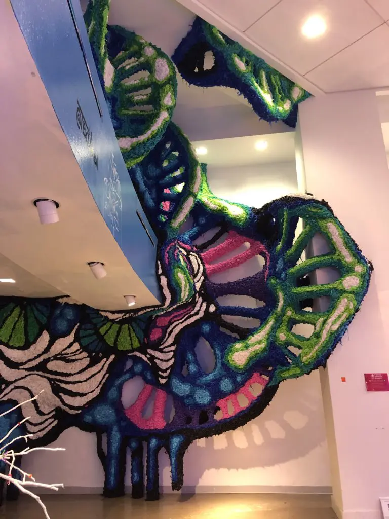 A sneak peak of Crystal Wagner's piece. Photo by Megan Ziots