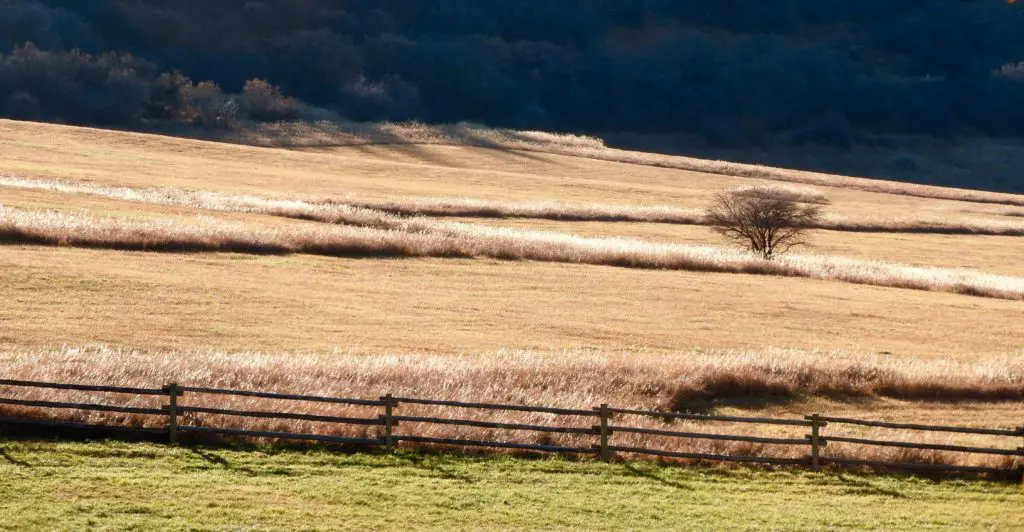Hayfields in the fall create a soothing visual tapestry. (Photo by Margaret Reckling)