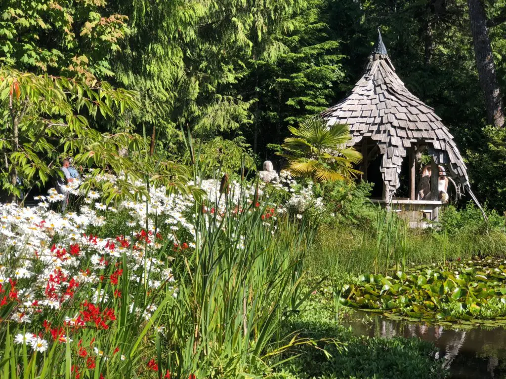 Tofino Botanical Garden (Photo by Shelby Hodge)