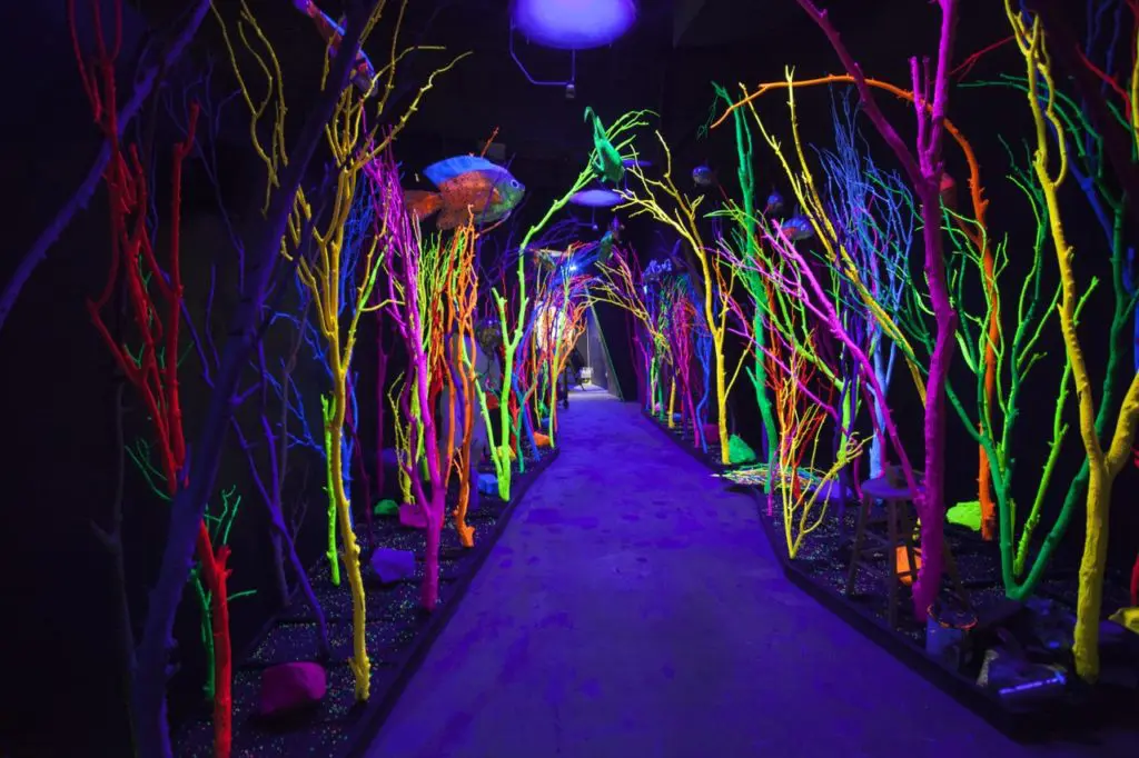 A walk through Santa Fe's Meow Wolf immersive art experience, here an aquarium, rocks the senses. (Photo by Kate Russell, Courtesy of Meow Wolf)