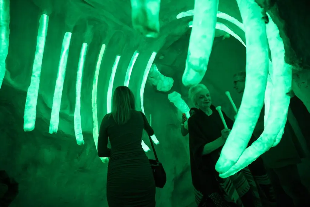Passing through the bowels of a massive skeleton is one of many extraordinary experiences at Meow Wolf in Santa Fe. (Photo by Kate Russell, Courtesy of Meow Wolf)
