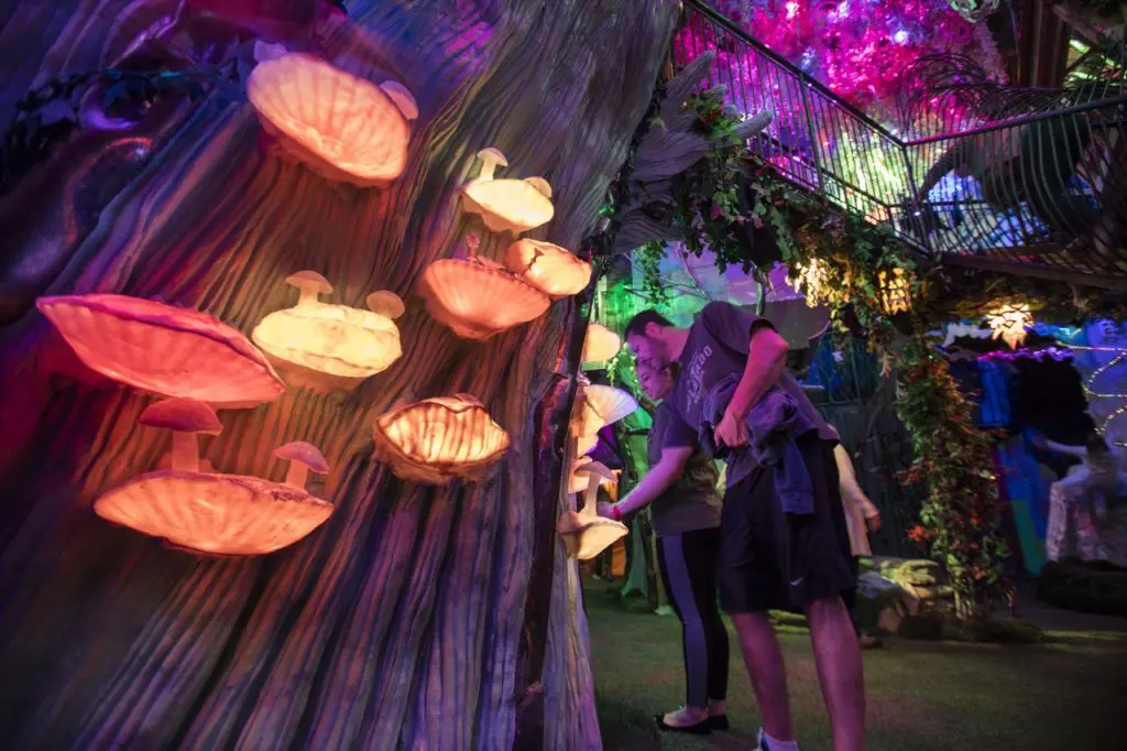 Glowing mushrooms sprout from a tree in Meow Wolf. (Photo by Kate Russell, Courtesy of Meow Wolf)