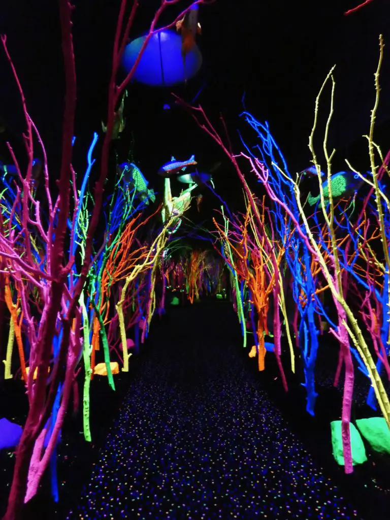 Is it a forest with fish floating overhead or an 'underwater' version of an aquarium? (Photo by Tarra Gaines)