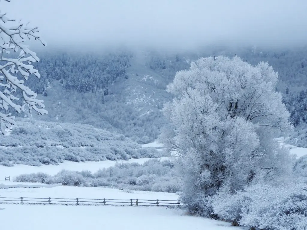 Secrets of Aspen Revealed by Houston Native’s Stunning New Book