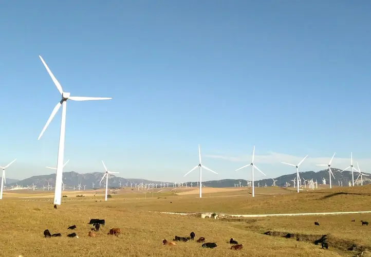 The city's government sources the majority of its energy from wind. 