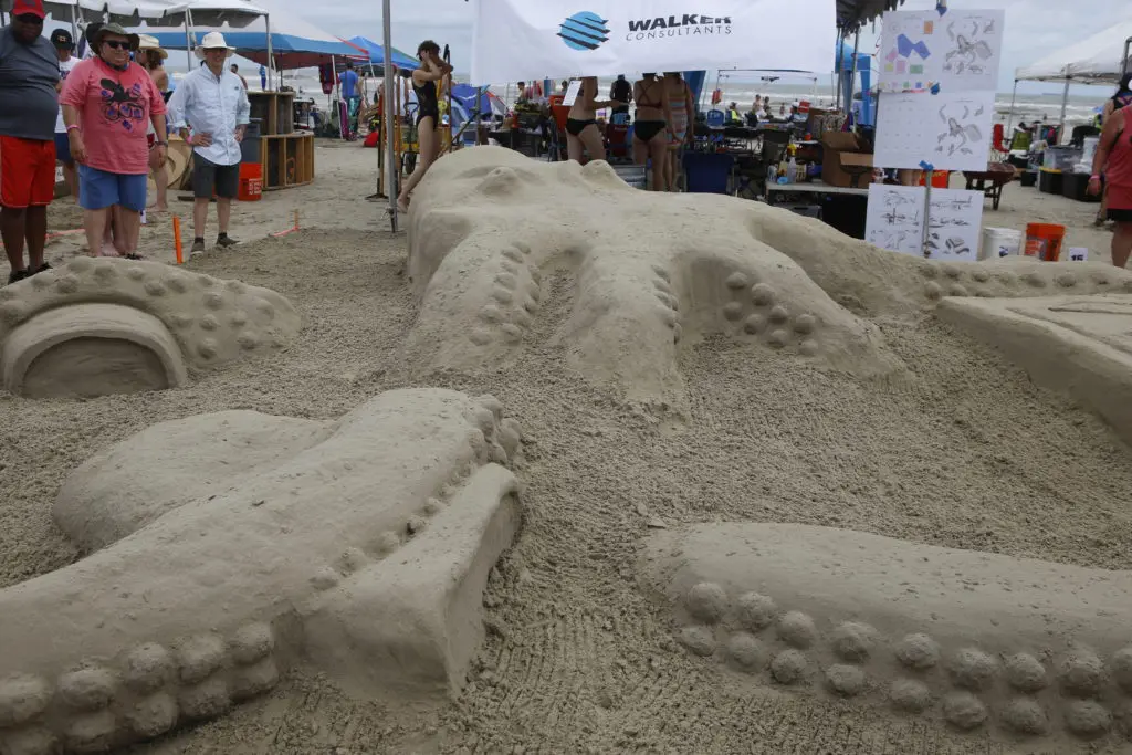 HarrisonKornberg won Best Marine Life for 'Kraken a Cold One.' (Photo by Rhonda Lowe)