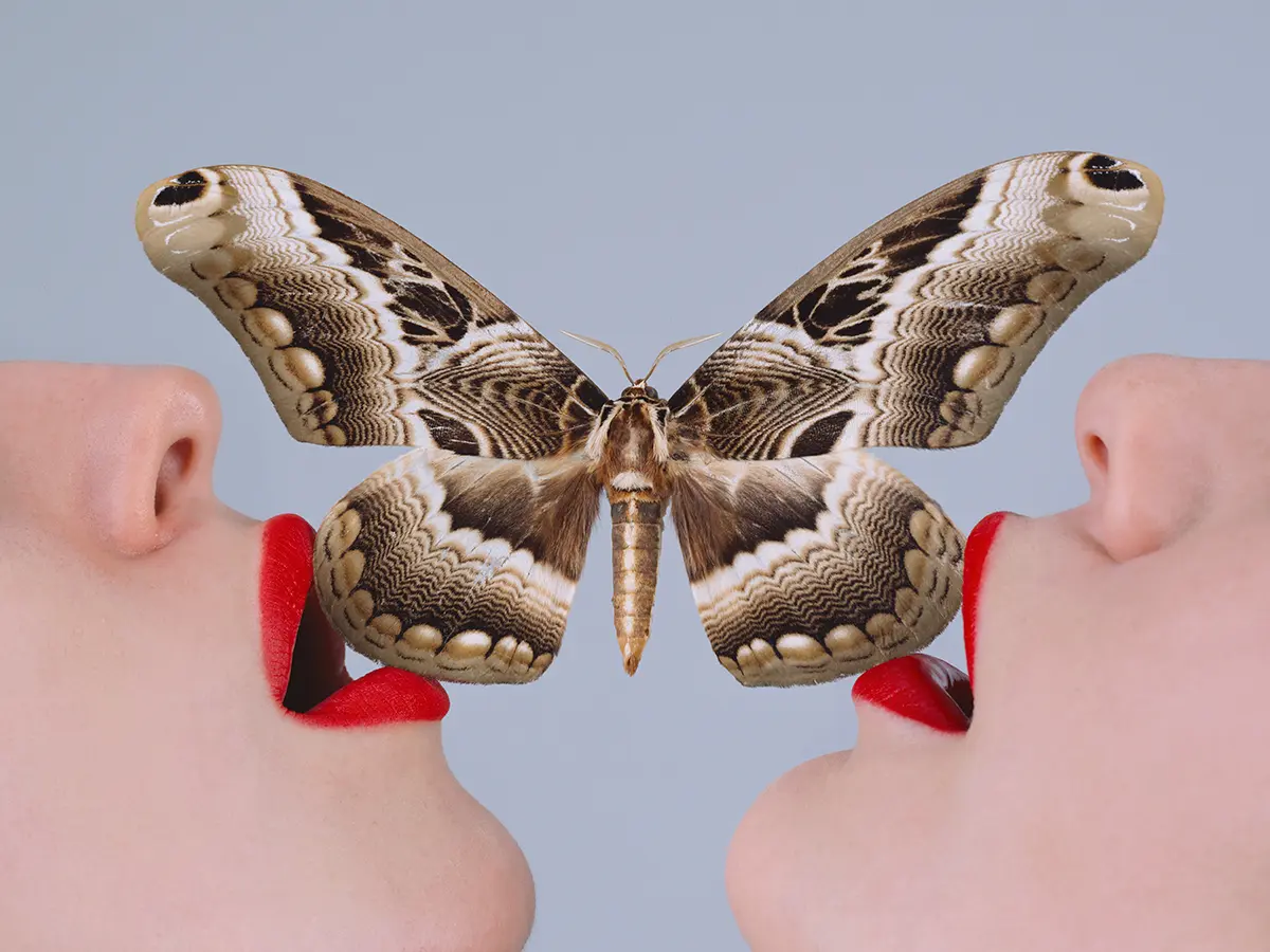 Tyler Shields