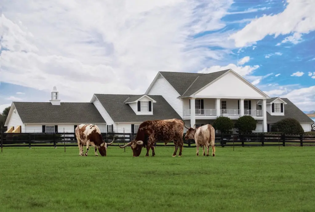 Live like the Ewings for an evening with access to the pool, dinner, and more. Courtesy of Southfork