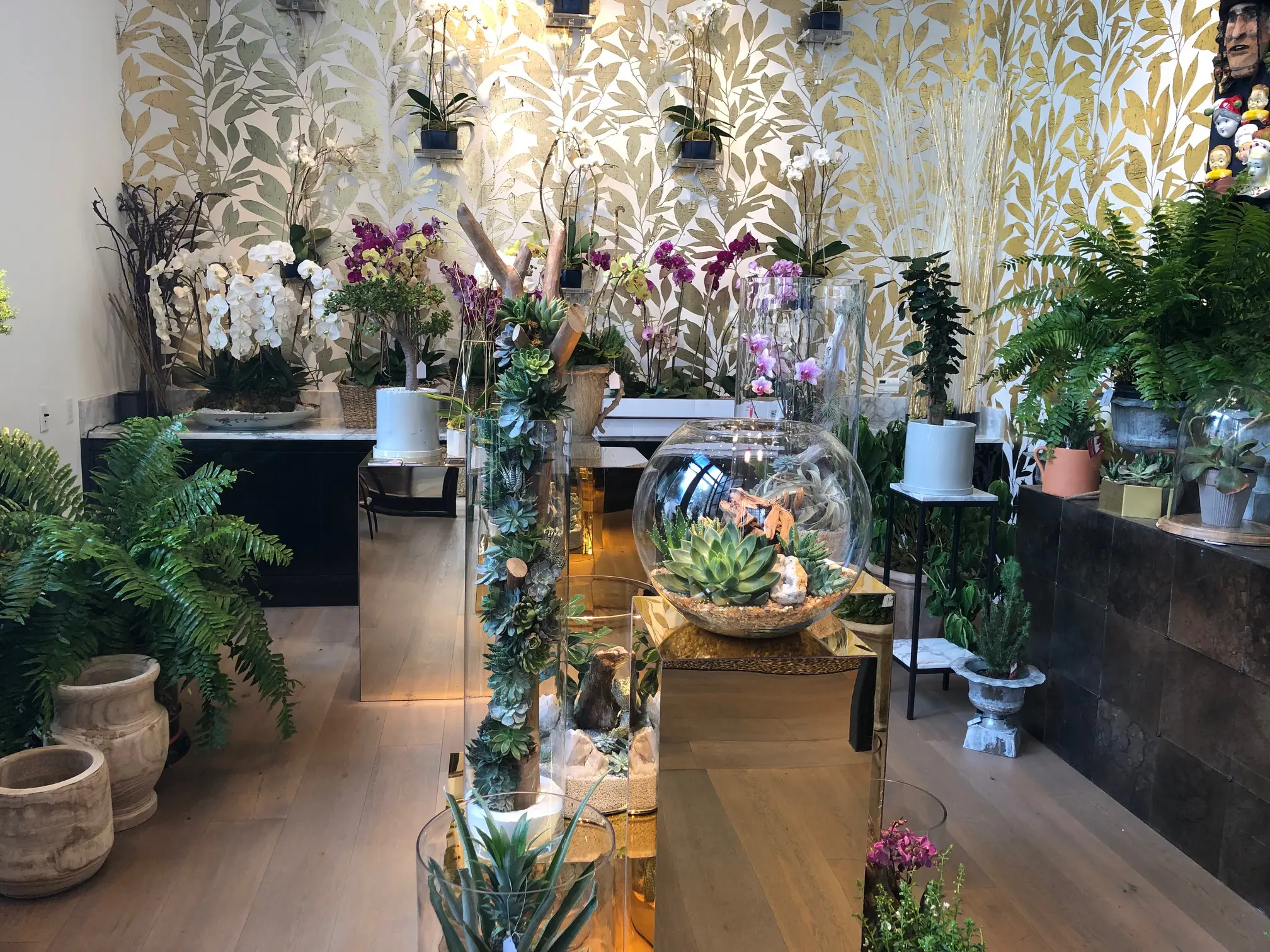 The orchid room at Avant Garden Houston where orchids, violets and modern terrariums flourish.  (Photo by Shelby Hodge)