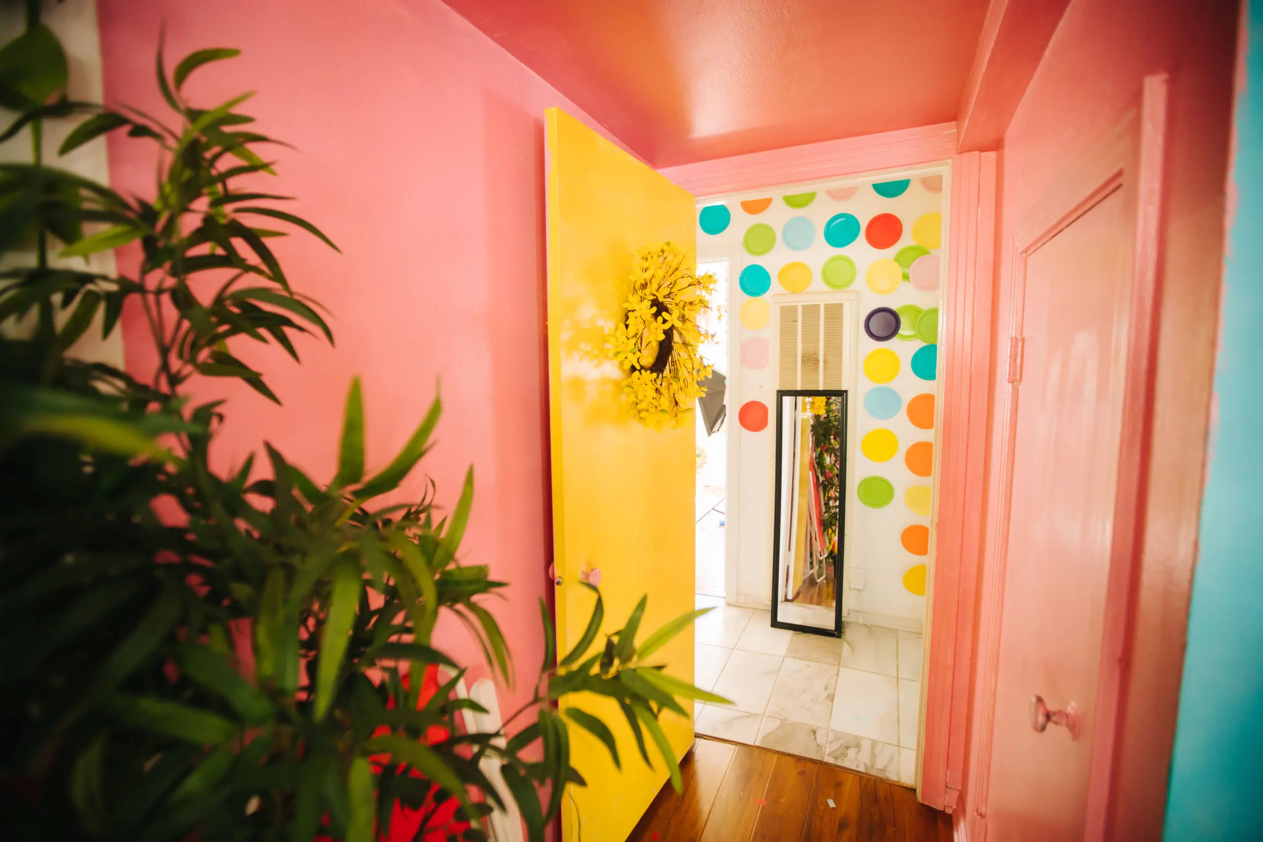 The Instagram House