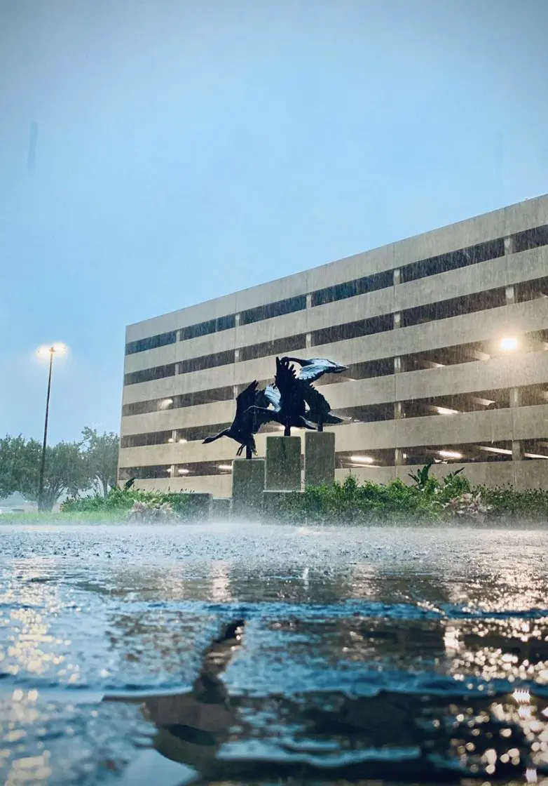 Scenes of the Houston flooding leave little doubt what the city is dealing with. (Photo by Ad Photography)