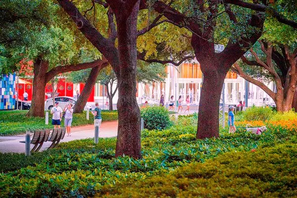 Sundays at Discovery Green are swell. 