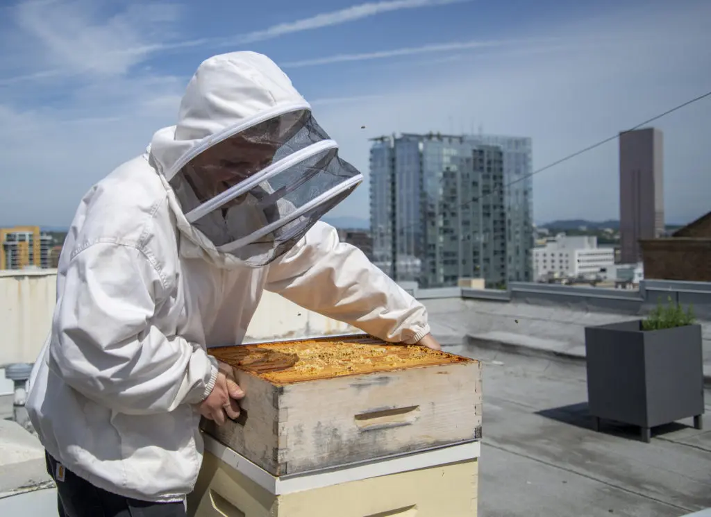 Hotel deLuxe even keeps bees. 