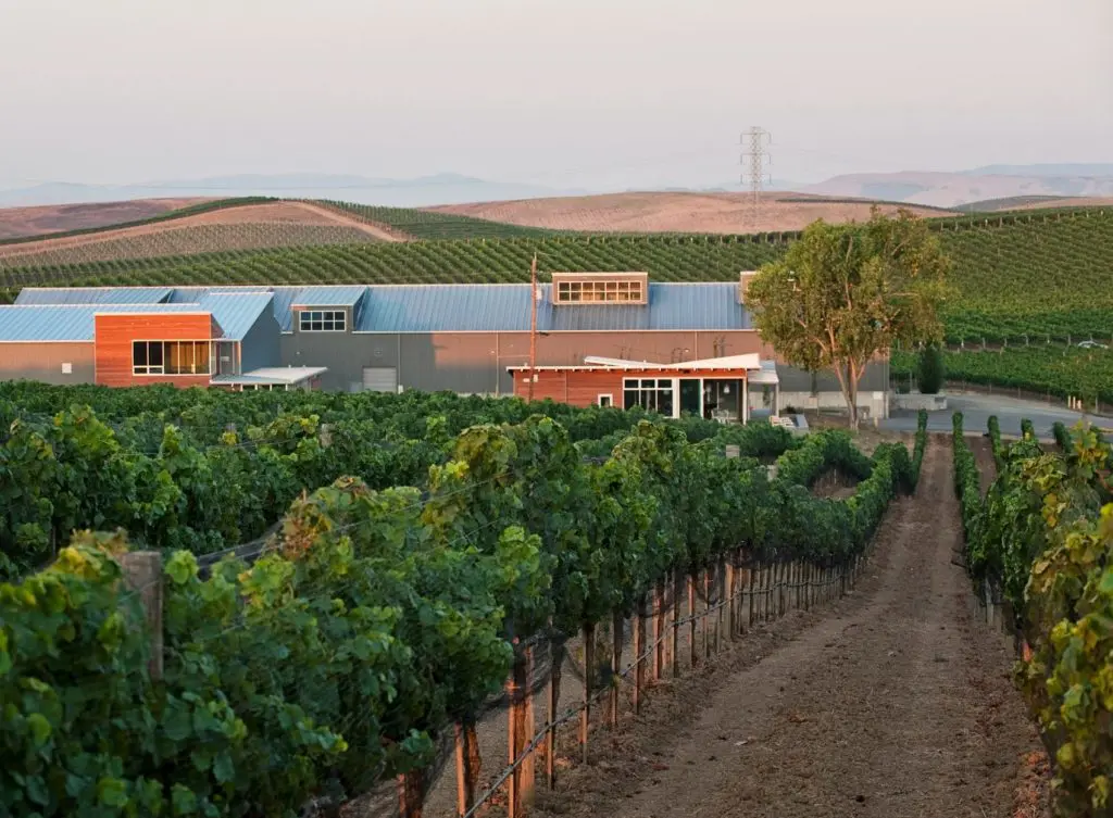 The Wines You Need to be Drinking Right Now