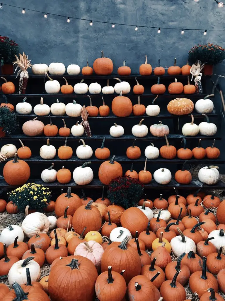 Ultimate Houston Halloween Guide — the 20 Best Things to do for the Scariest of Holidays