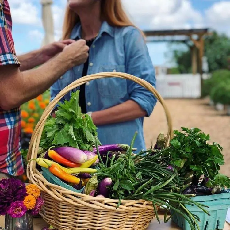 Huge Foodie Weekend in Houston Highlights Ambitious Food Hall and River Oaks Wonderland